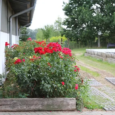 In Den Wiesen *