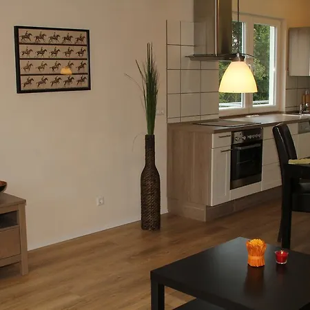 Apartment In Den Wiesen *